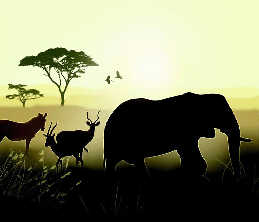 Fotobehang Kinderkamer silhouet Olifant