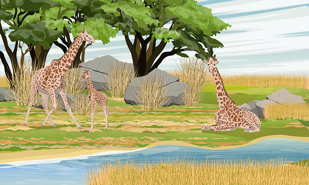 Fotobehang Kinderkamer Giraffe