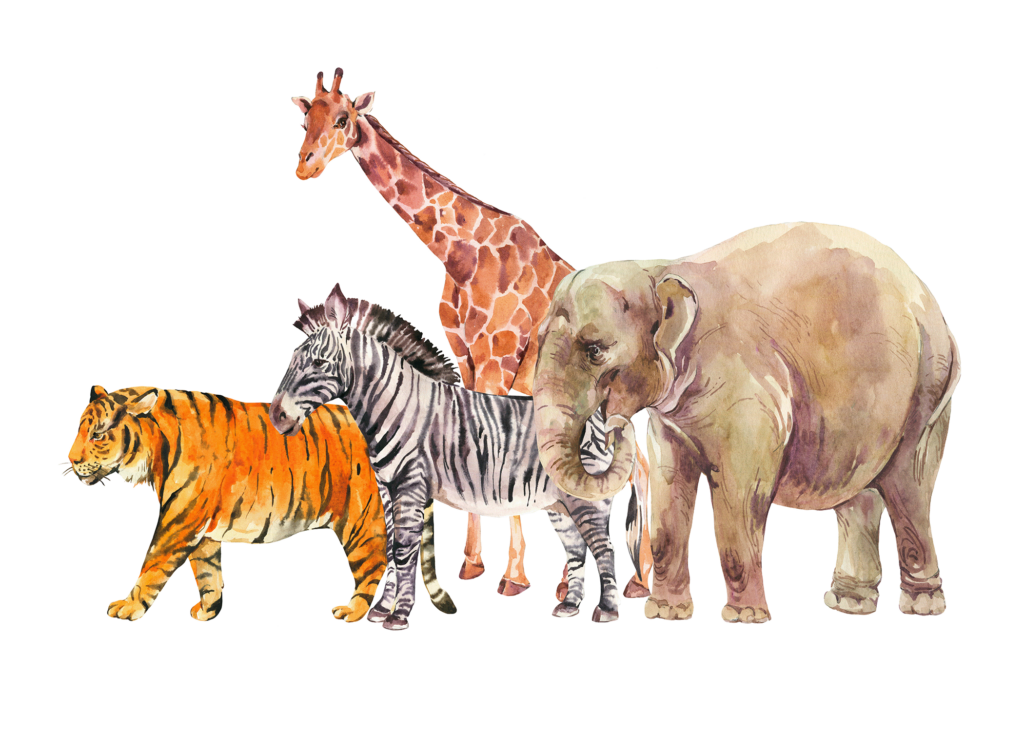 Fotobehang Kinderkamer Jungle friends