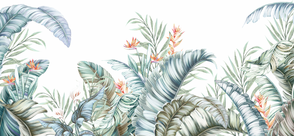 Fotobehang Woonkamer Tropical leaves