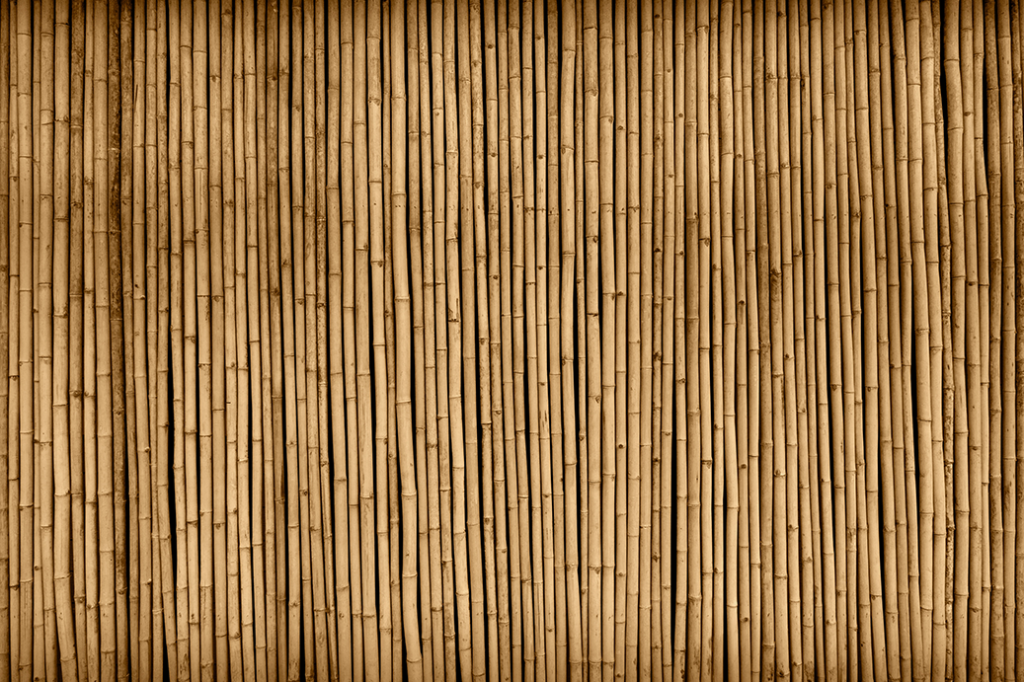 Bruin bamboo