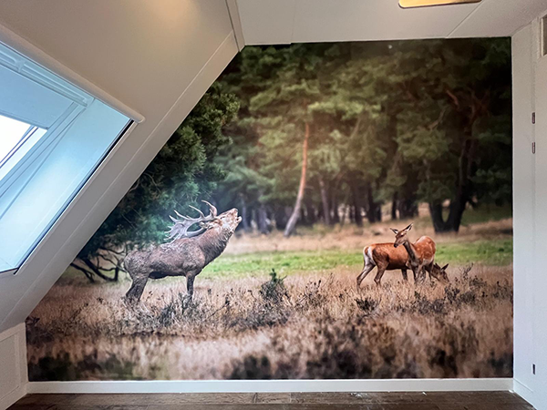 fotobehang-Uddel-Fam.-van-Beek