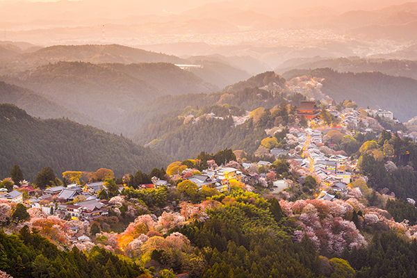 Luxe naadloos Airtex fotobehang van Mount Yoshino in Japan met kersenbloesem en bergen door Airtexmania.