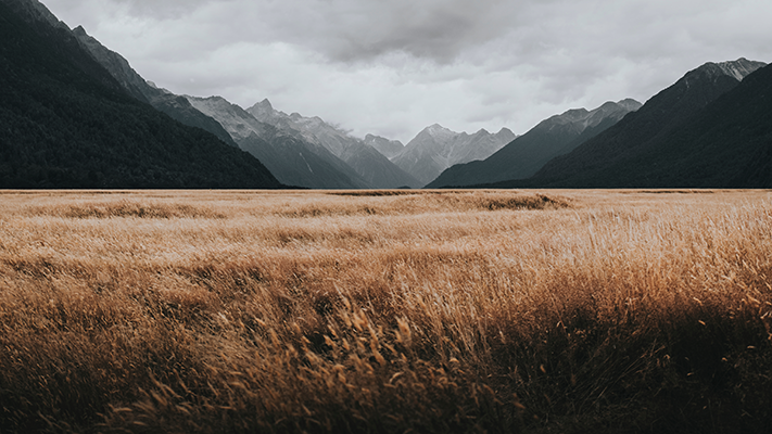 Fotobehang Nieuw-Zeeland Eglinton valley