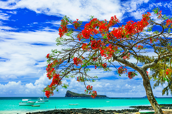 Foto op je muur - fotobehang - oceaan - zomer - tropisch paradijs